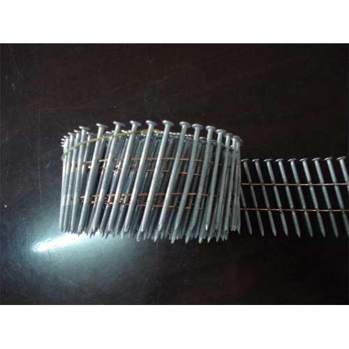 Coil Nails Galvanized Type Coil Nails Manufactory