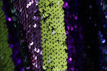 Fashion embroidery sequins lace