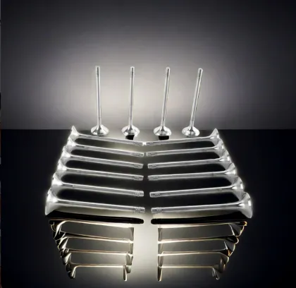 Popular Intake Exhaust Valves 32*7*96 36*7*97 - Auto Parts Valve Tappets for Volkswagen