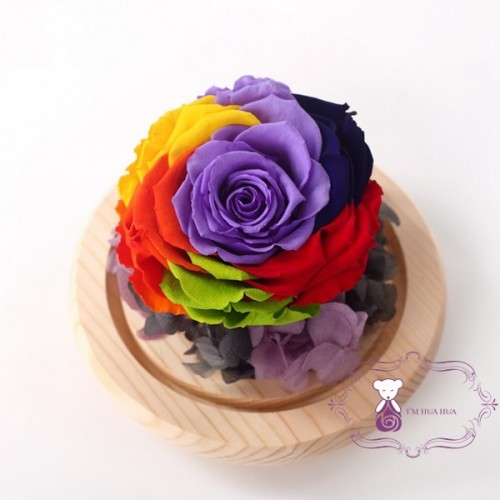 Real Touch Preserved Rainbow Rose Head For Best Women Gift, High