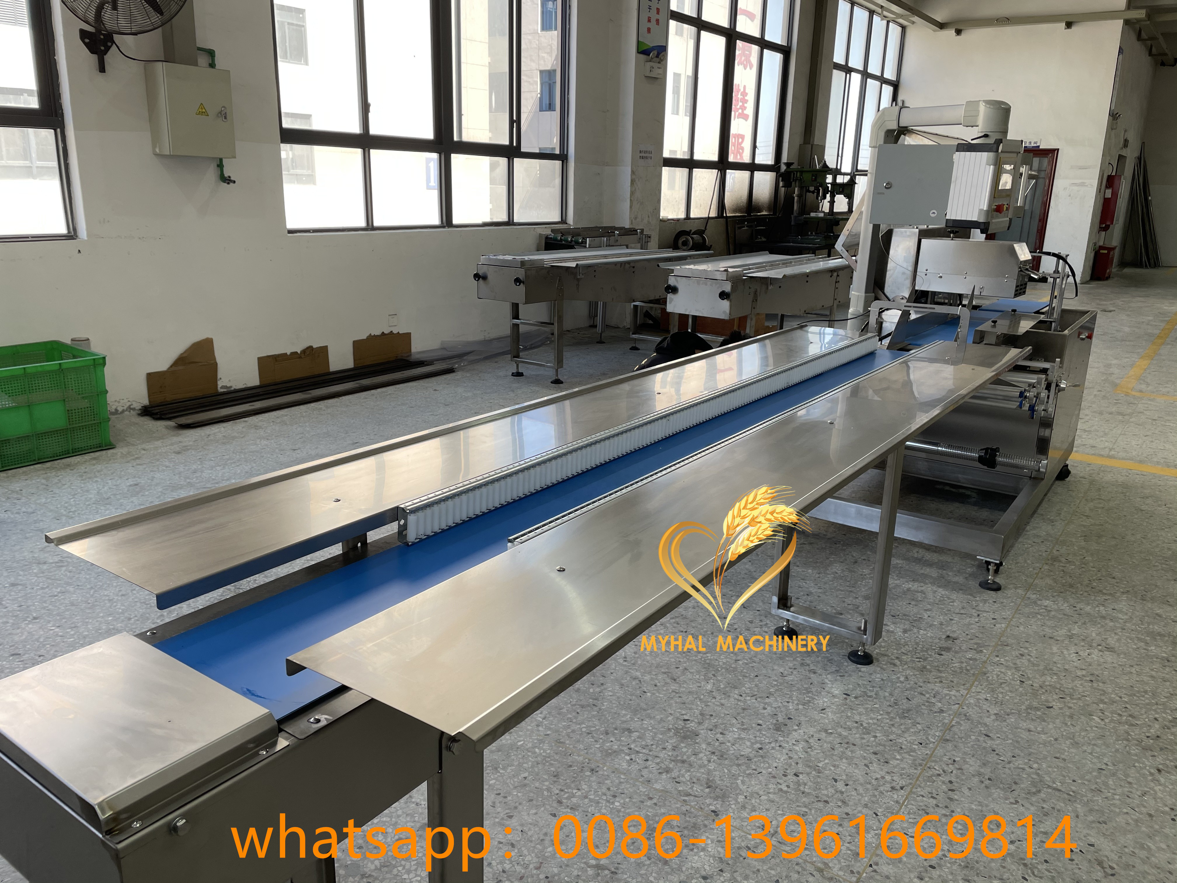 Flow Automatic Carrot Cabbage Fruits Packing Machine for Plastic Bags Plastic Packaging Pillow Type