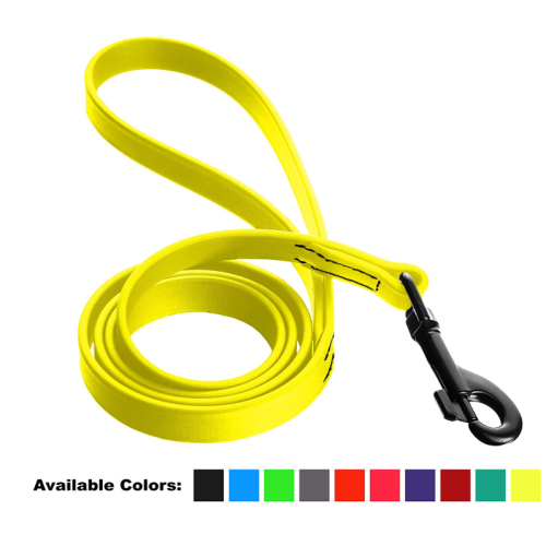 Wodoodporna Webbing Webbing Dog Leash