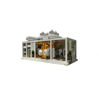 Affordable Advanced Technology: Biogas Refrigerator Compressors