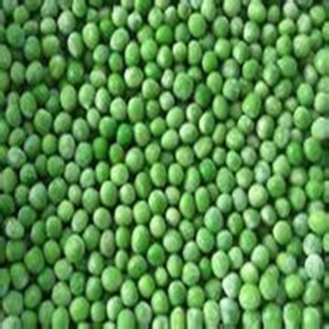 frozen vegetable fruit frozen green pea, iqf green pea, frozen pea ,iqf pea