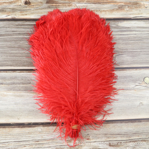 Turkey Feather Trims, Fleece Feathers, Lace, Clothing Accessories & Feather Crafts: A Comprehensive Guide for Manufacturers