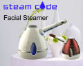 spa facial steamer,household facial sauna steamer OHFS-02