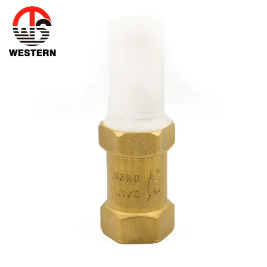 PN20 FXF BSP 1.6MPA Thread Water Valve Foot Control Valve Brass Vertical Spring Check Valve With Plastic Filter