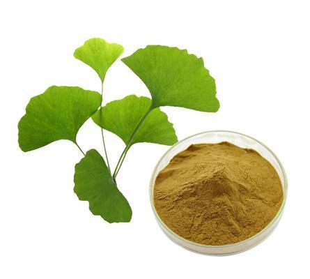 Ginkgo Biloba Leaf Extract