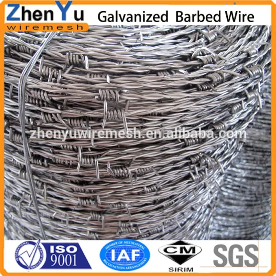 export galvanized barbed wire/electro galvanized barbed wire manufacture with lowes price