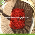 Bacche di Goji secche all&#39;ingrosso di nutrizione organiche