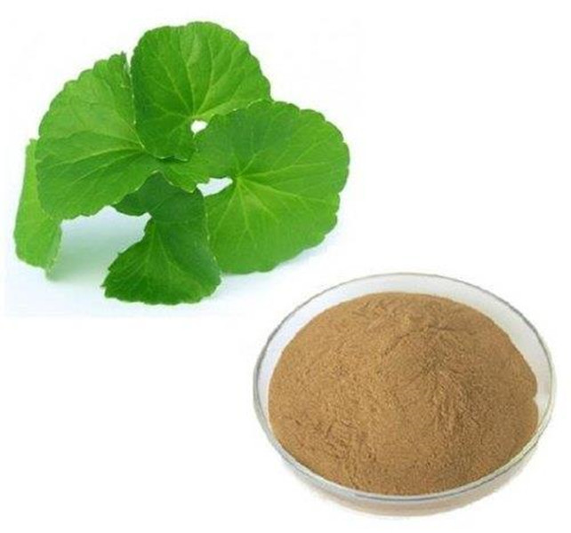 Gotu Kola Extract Powder Used For powder 10:1