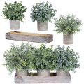 Set of 3 Mini Potted Artificial Eucalyptus Plants