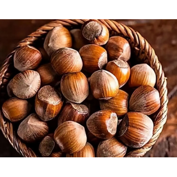 Νόστιμα κονσερβοποιημένα φουντούκια λεοπάρ