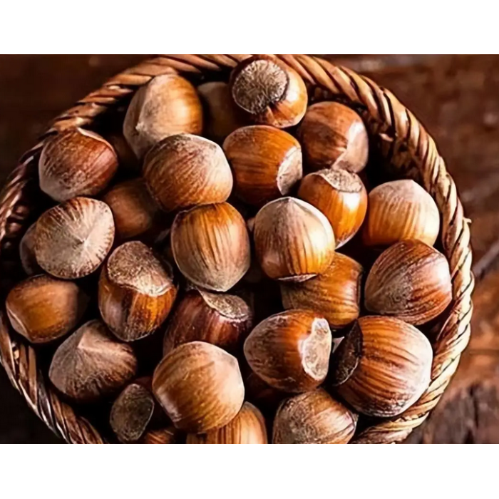 Deliciosas avelãs leopardo enlatadas