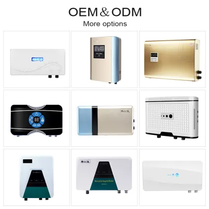 Comprehensive Commercial Solutions: Ozone Food, Fruit Sterilization Equipment, Machines, Water Purifiers