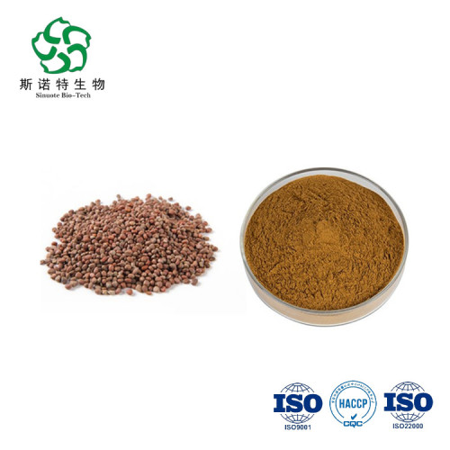 Cosmetics Raw Material Radish Seed Extract Powder Anti-Inflammation Anti-Microbia Supplier