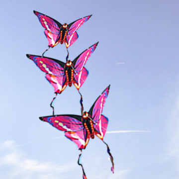 New Style Bunched Animal Butterfly Kite from Supply Factory