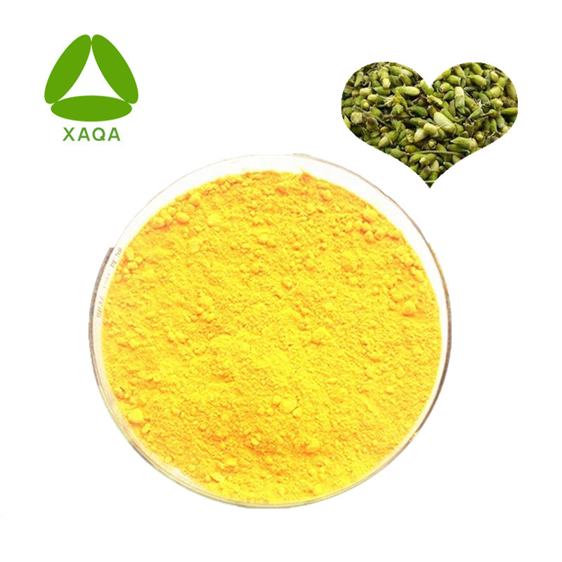Sophora Japonica Extract Quercetin 98% Powder 117-39-5