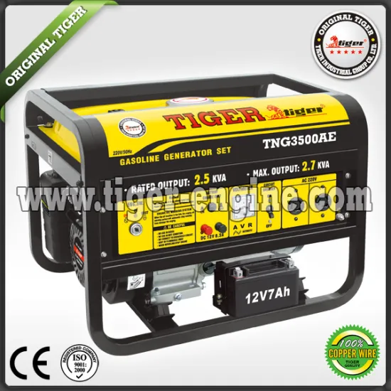 Gasoline generator sets TNG3500AE