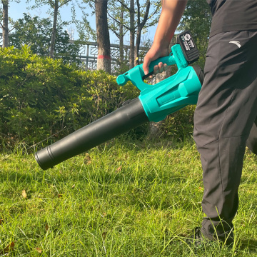 Cordless Electric Vacuum Cleaner for Garden Leaves and Dust