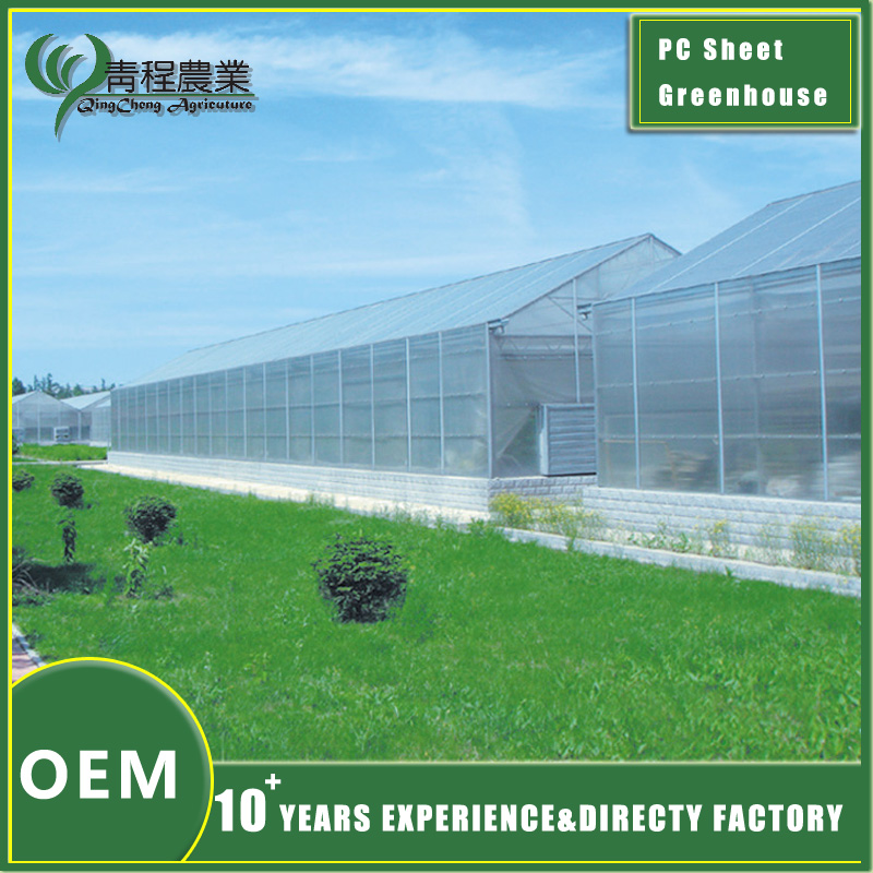 Durable Polycarbonate Greenhouse With Shade