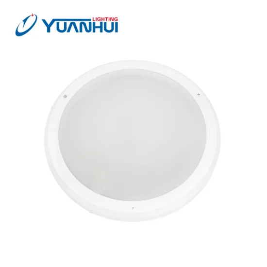 AC220~240V LED Lighting Solutions: Surface Mounted Kitchen Corridor Aisle Stairs Wall Lamp & LED Ceiling Light - 18W