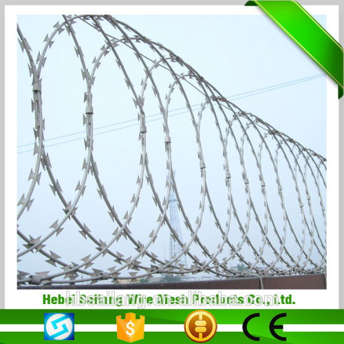 Alibaba barbed wire price per roll innovative products for sale