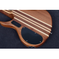 Kaysen Maple 5 cuerdas bajo