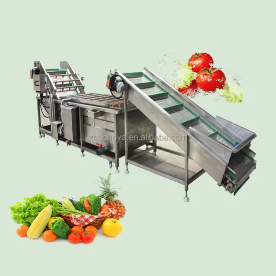 Stainless Steel Net Belt Conveyor for Fruit and Vegetable Washing, Drying, and Cooling
