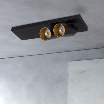 高効率のコブ14W LEDダウンライト-2つのヘッド表面マウント