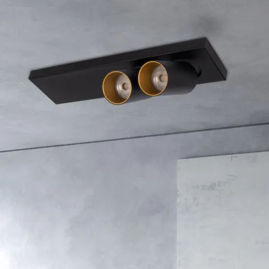 High-Efficiency COB 14W LED Downlight - Two Heads Surface Mounted