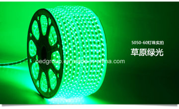 Green Color Flexible LED Neon Light