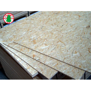 Tốt nhất giá rẻ osb ván ép các nhà sản xuất