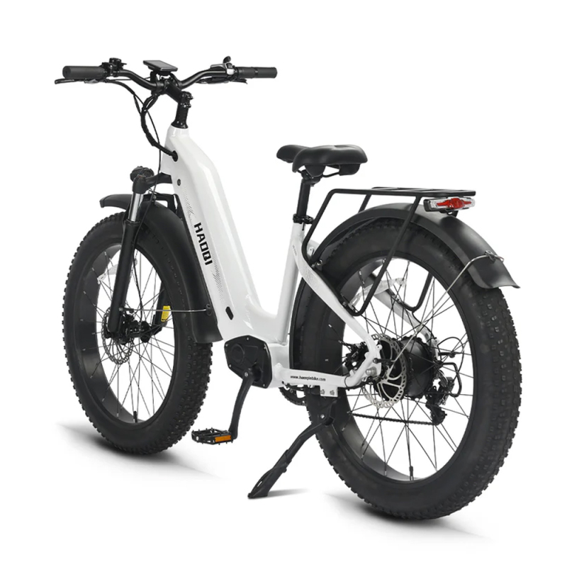 Leopard Pro 48V 20Ah Fat Tire Electric Bike