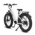 Bicicleta eléctrica con neumáticos anchos Leopard Pro 48V 20Ah