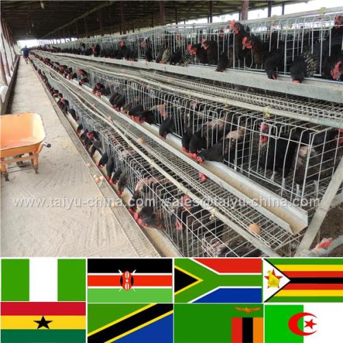 African automatic poultry farm air cooling system farm