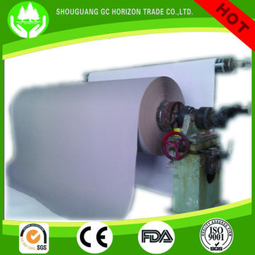 Duplex board paper 200-450gsm
