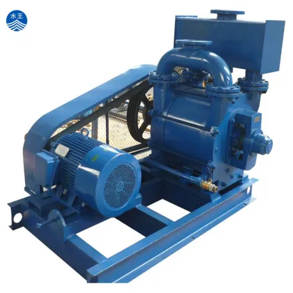 Chemical Competitive: Zibo Boshan Vacuum Pump
