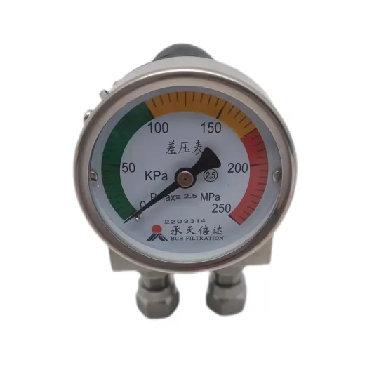 Customization Industrial 60mm Differential Pressure Gauge for Gas/Liquid/Dust