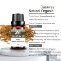 Pure Caraway Oil Therapeutic Grade Scented Essential Oil