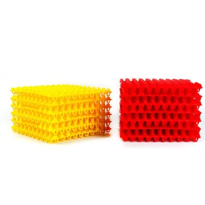 Plastic Quail Eggs Tray Pack for Transportation and Promotion