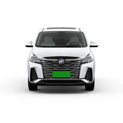 7 Seater New Gasoline MPV Car Buick Gl8