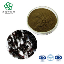 Natural Polyrhachis Black Ant Extract Powder