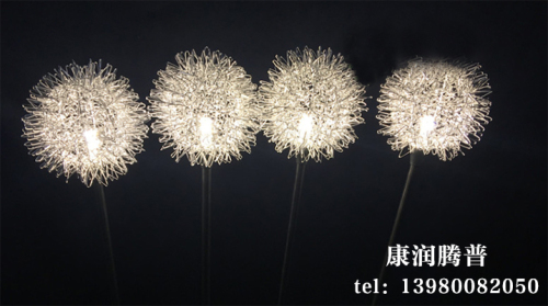 Outdoor LED  Dandelion Luminous Lights