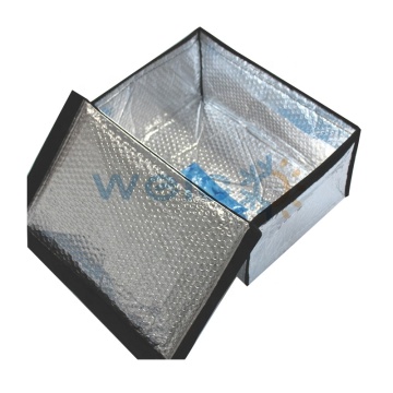 Inserts de refroidissement thermique biodégradables pour les boîtes de livraison de nourriture fraîche