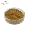 Plant-Derived Magnolol Extract with Antioxidant Properties