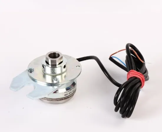 Sch****** QKS9 Door Motor Brake Magnet EBI 169643