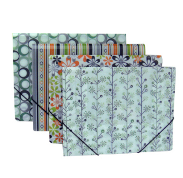Report File Bag with Elastic Strap (DP-521A)