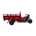 Motorized tricycle for home use