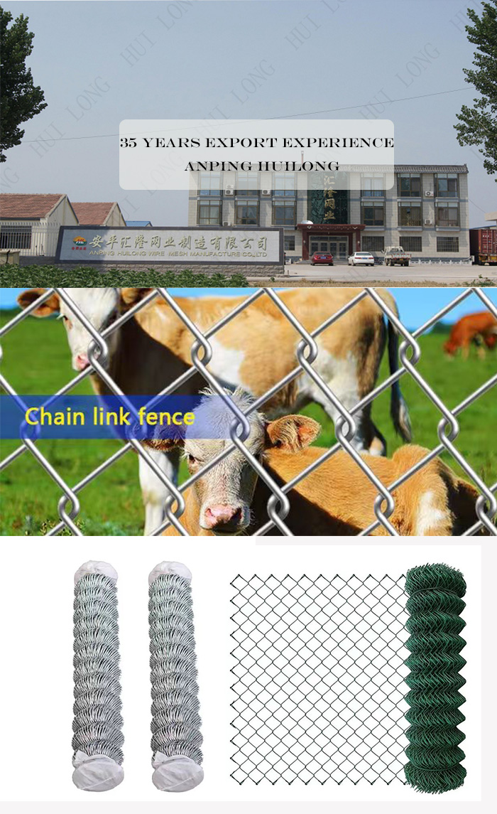 Chain Link Fence